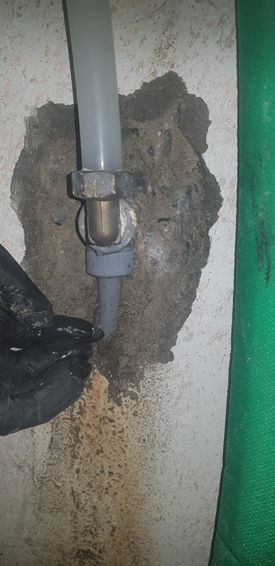 17fcb4316b50cedf38455ed445ff7536_1766993