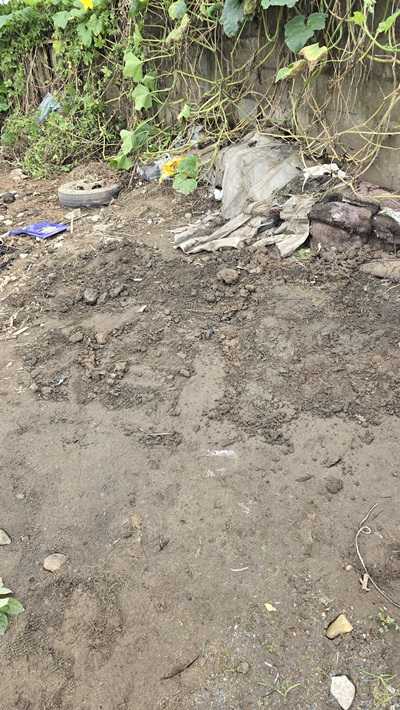 17fcb4316b50cedf38455ed445ff7536_1766993