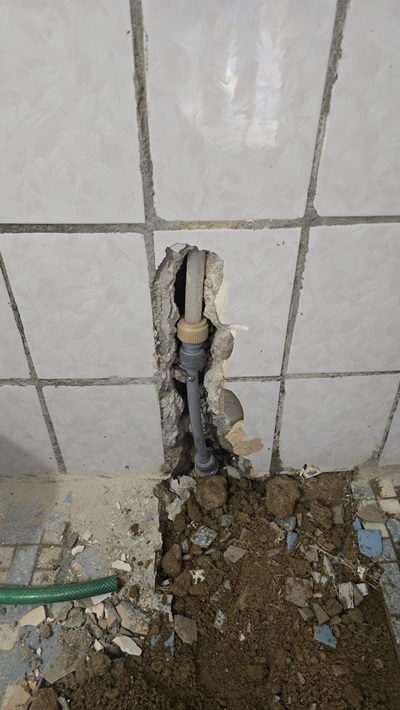 17fcb4316b50cedf38455ed445ff7536_1766993