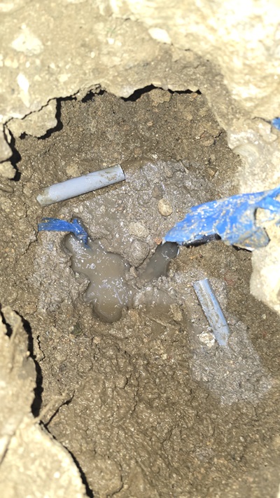 4a4c7343557c3efe12106719e1598414_1767674