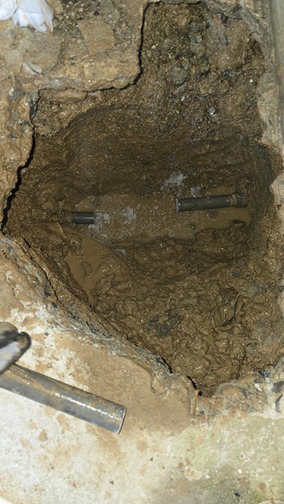 4a4c7343557c3efe12106719e1598414_1767674